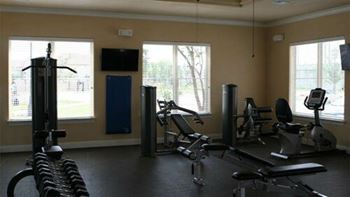 A gym with a variety of equipment including a treadmill, weights, and a bench press.